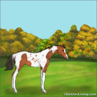 Horse Color:Bay Tobiano 