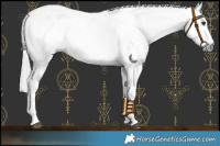 Horse Color:Gray Silver Buckskin Roan Blanket 