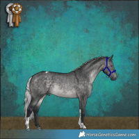 Horse Color:Silver Brown Chinchilla Dun Sabino Tobiano