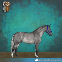 Horse Color:Silver Brown Chinchilla Dun Sabino Tobiano