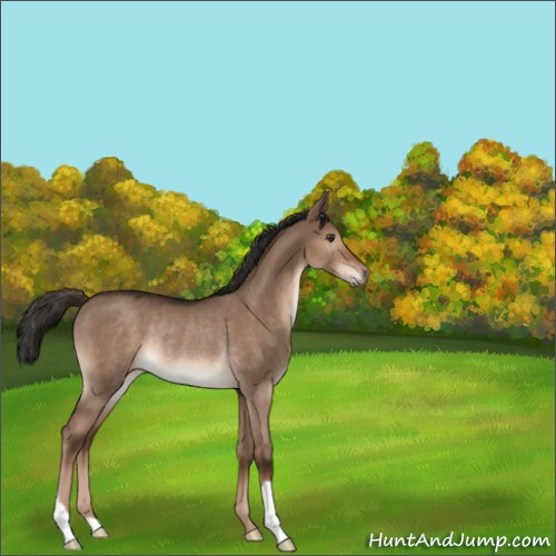 Horse Color:Liver Red Dun Rabicano 