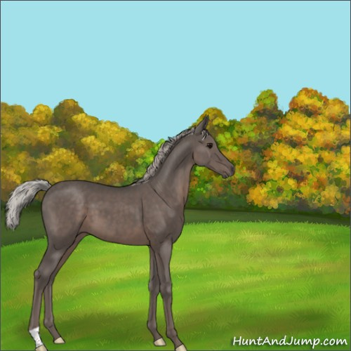 Horse Color:Silver Black 