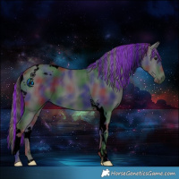 Horse Color:Void Painted Nacre Smoky Black Tobiano