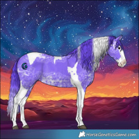 Horse Color:Watercolor Black Ice Splash Tobiano 