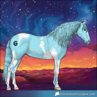 Horse Color:Watercolor Black Tobiano 