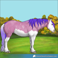Horse Color:Watercolor Grullo Splash 
