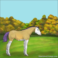 Horse Color:Watercolor Bay Splash