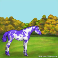 Horse Color:Watercolor Black Splash Frame 