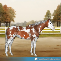 Horse Color:White Spotted Silver Bay Splash 