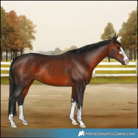 Horse Color:Brown 