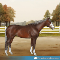 Horse Color:Silver Brown 
