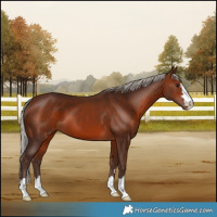 Horse Color:Silver Bay 