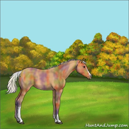 Horse Color:Nacre White Spotted Silver Buckskin 