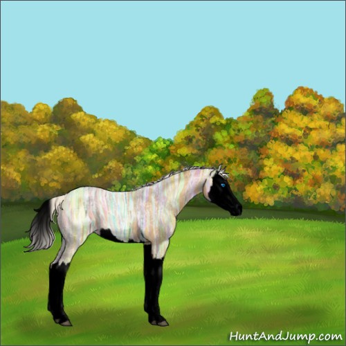 Horse Color:Void Silver Buckskin Ice Splash 