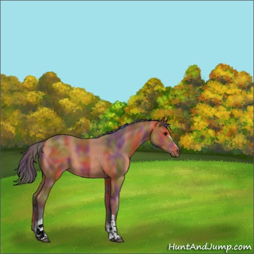 Horse Color:Nacre White Spotted Bay 