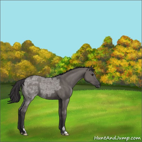 Horse Color:Smoky Grullo Ice Sabino 