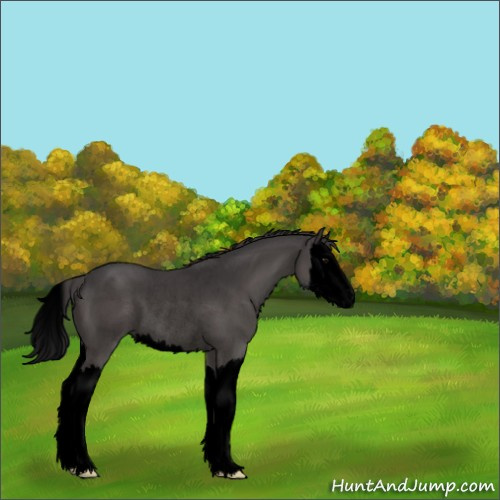 Horse Color:Void Smoky Grullo Sabino Splash Rabicano 