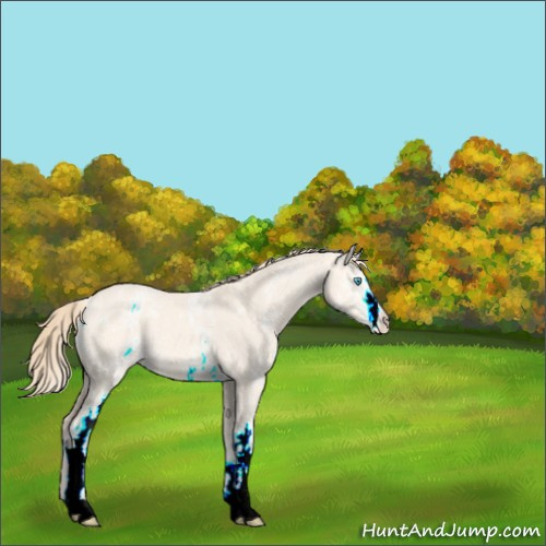 Horse Color:White Spotted Perlino Dun 