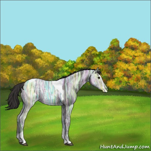 Horse Color:Smoky Black Ice Tobiano 