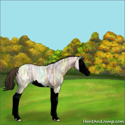 Horse Color:Void Buckskin Ice Splash 