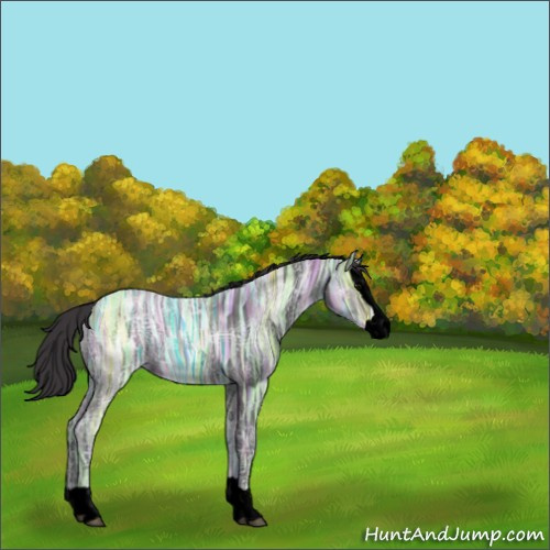 Horse Color:Void Smoky Black Ice Splash 