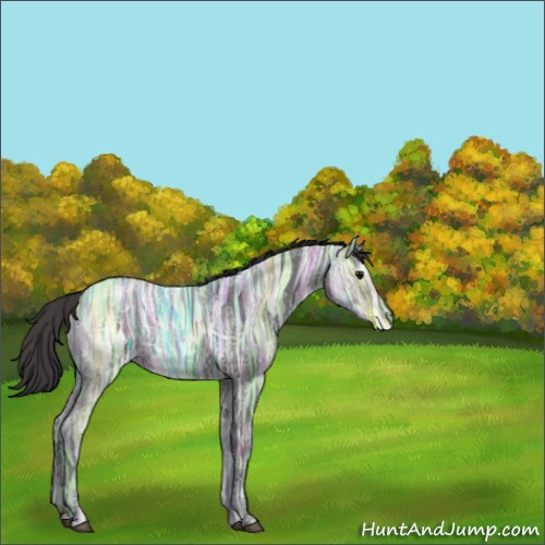 Horse Color:Smoky Black Ice 