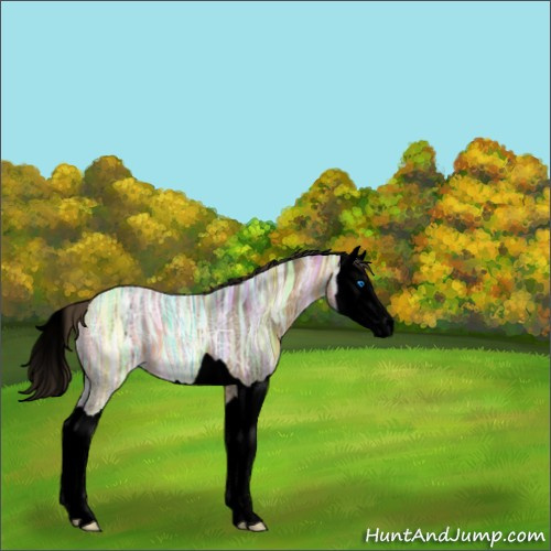 Horse Color:Void Buckskin Ice Splash 