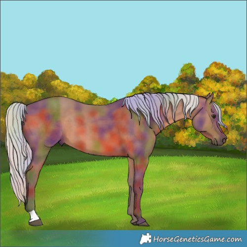 Horse Color:Nacre Silver Brown 