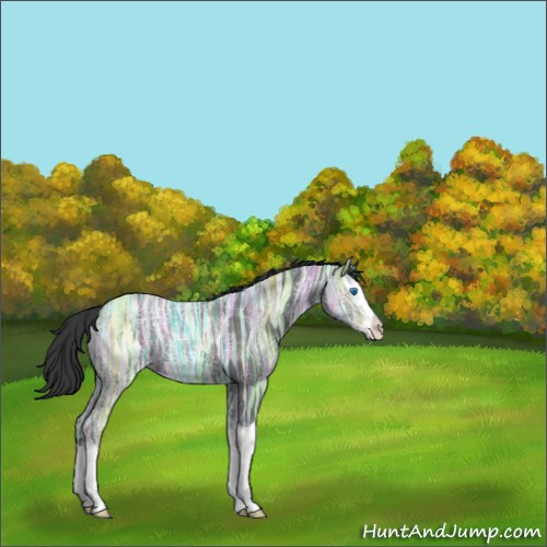 Horse Color:Black Ice Splash 