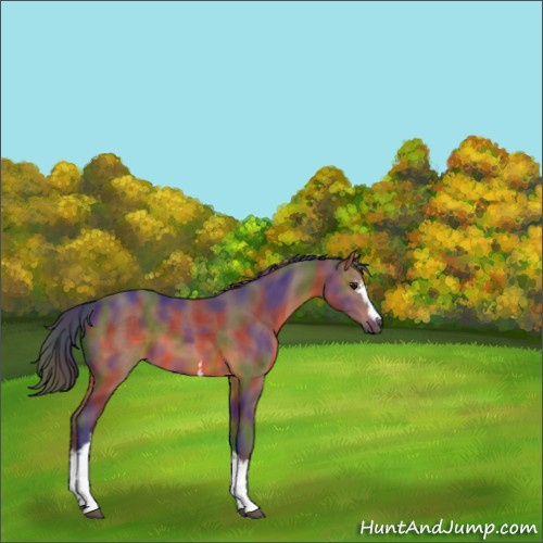 Horse Color:Nacre White Spotted Brown 