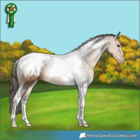 Horse Color:Buckskin Tobiano Varnish 