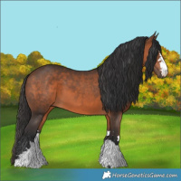 Horse Color:Brown 