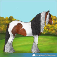 Horse Color:Brown Tobiano
