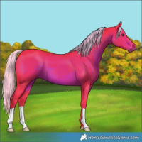 Horse Color:Watercolor Liver Chestnut 