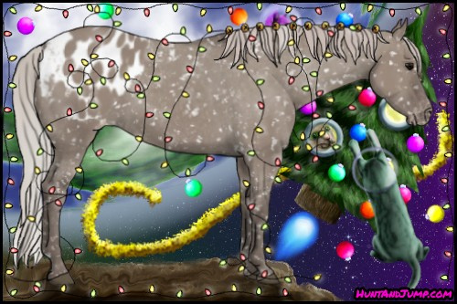 Horse Color:Silver Grullo Appaloosa