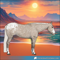 Horse Color:Silver Grullo Blanket 
