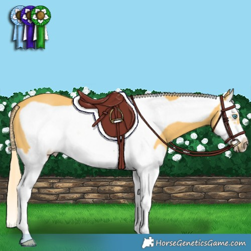 Horse Color:Palomino Splash Frame 