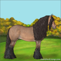 Horse Color:Bay Dun