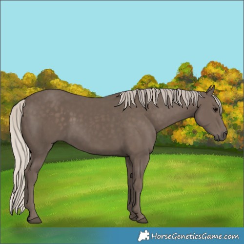 Horse Color:Silver Black 