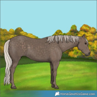 Horse Color:Silver Black 