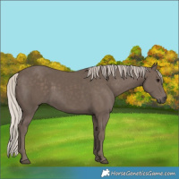Horse Color:Silver Black 