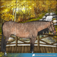 Horse Color:Bay Dun  and Bay Dun 