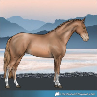 Horse Color:Liver Chestnut Pearl Tobiano 