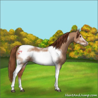 Horse Color:Red Dun Tobiano Frame 