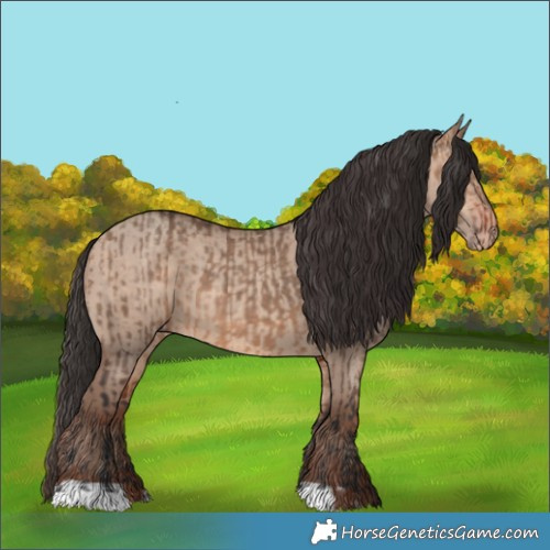 Horse Color:Bay Dun  and Amber Champagne Dun 