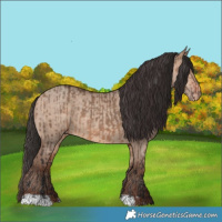 Horse Color:Bay Dun  and Amber Champagne Dun 