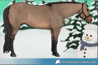 Horse Color:White Spotted Brown Dun 