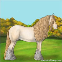 Horse Color:Buckskin Roan Pearl  and Buckskin Roan Pearl 