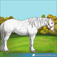 Horse Color:Liver Chestnut Tobiano Snowcap 
