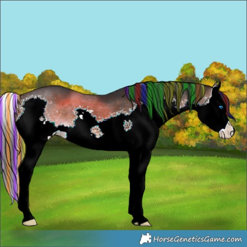 Horse Color:Painted Brown Splash 